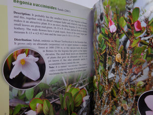 A GUIDE TO BEGONIAS OF BORNEO BY RUTH KIEW 2015 HARDCOVER