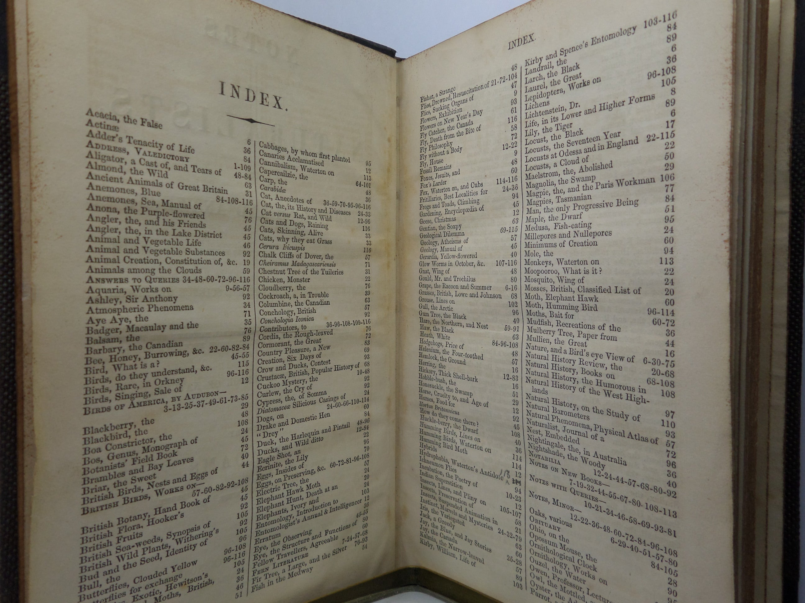 NOTES FOR NATURALISTS WITH QUESTIONS AND ANSWERS EDITED BY H.G. ADAMS 1857