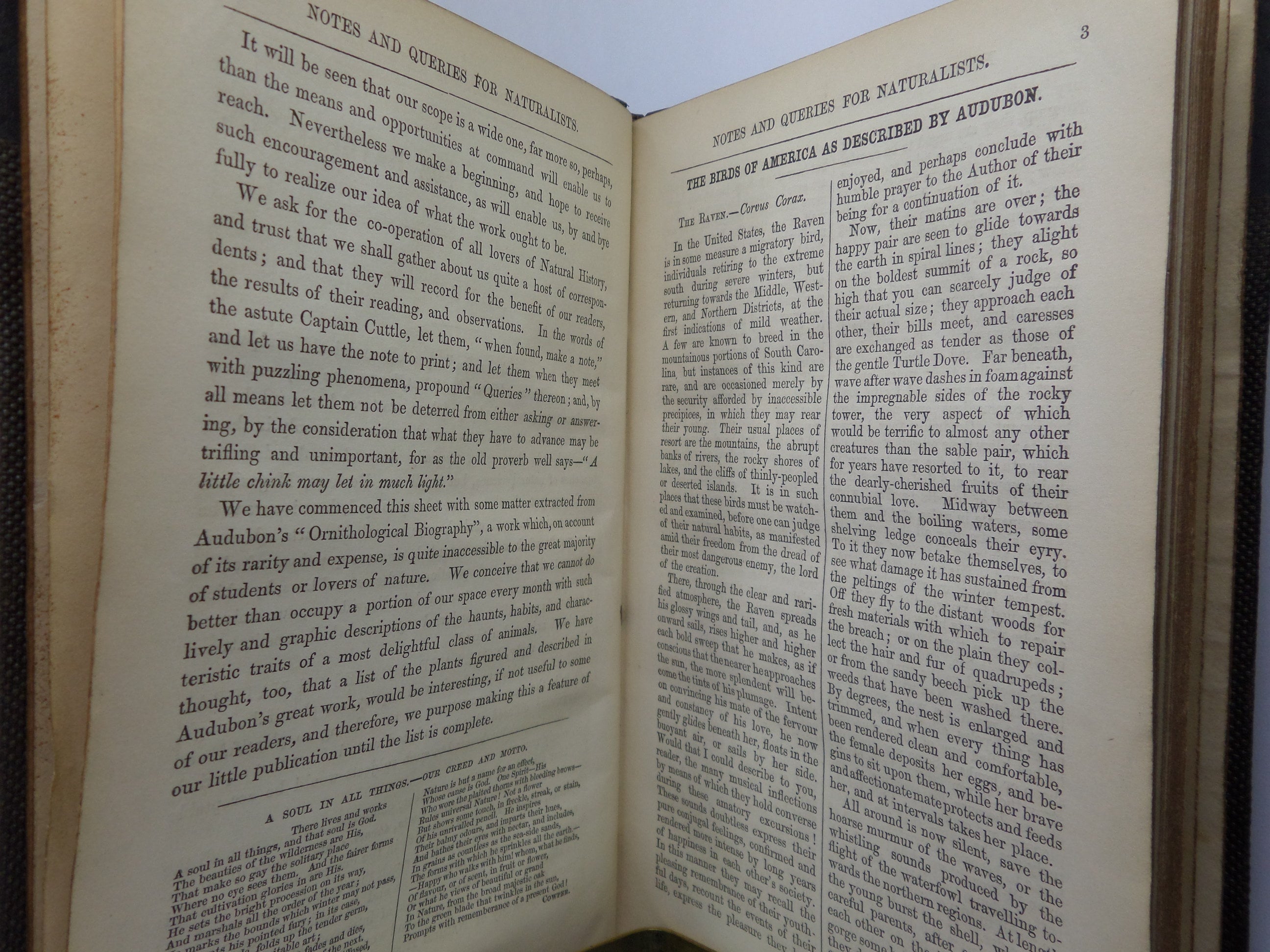 NOTES FOR NATURALISTS WITH QUESTIONS AND ANSWERS EDITED BY H.G. ADAMS 1857