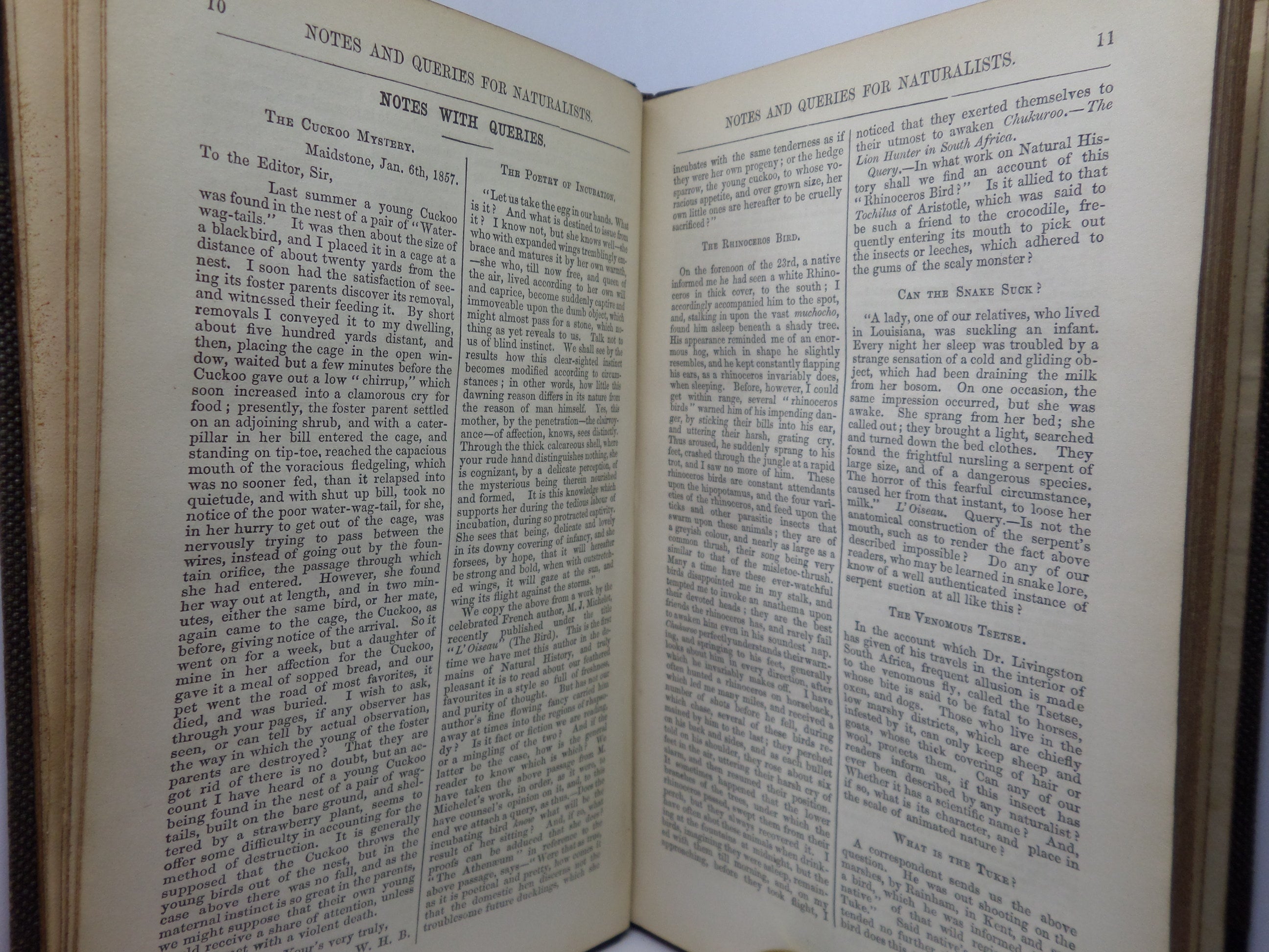 NOTES FOR NATURALISTS WITH QUESTIONS AND ANSWERS EDITED BY H.G. ADAMS 1857