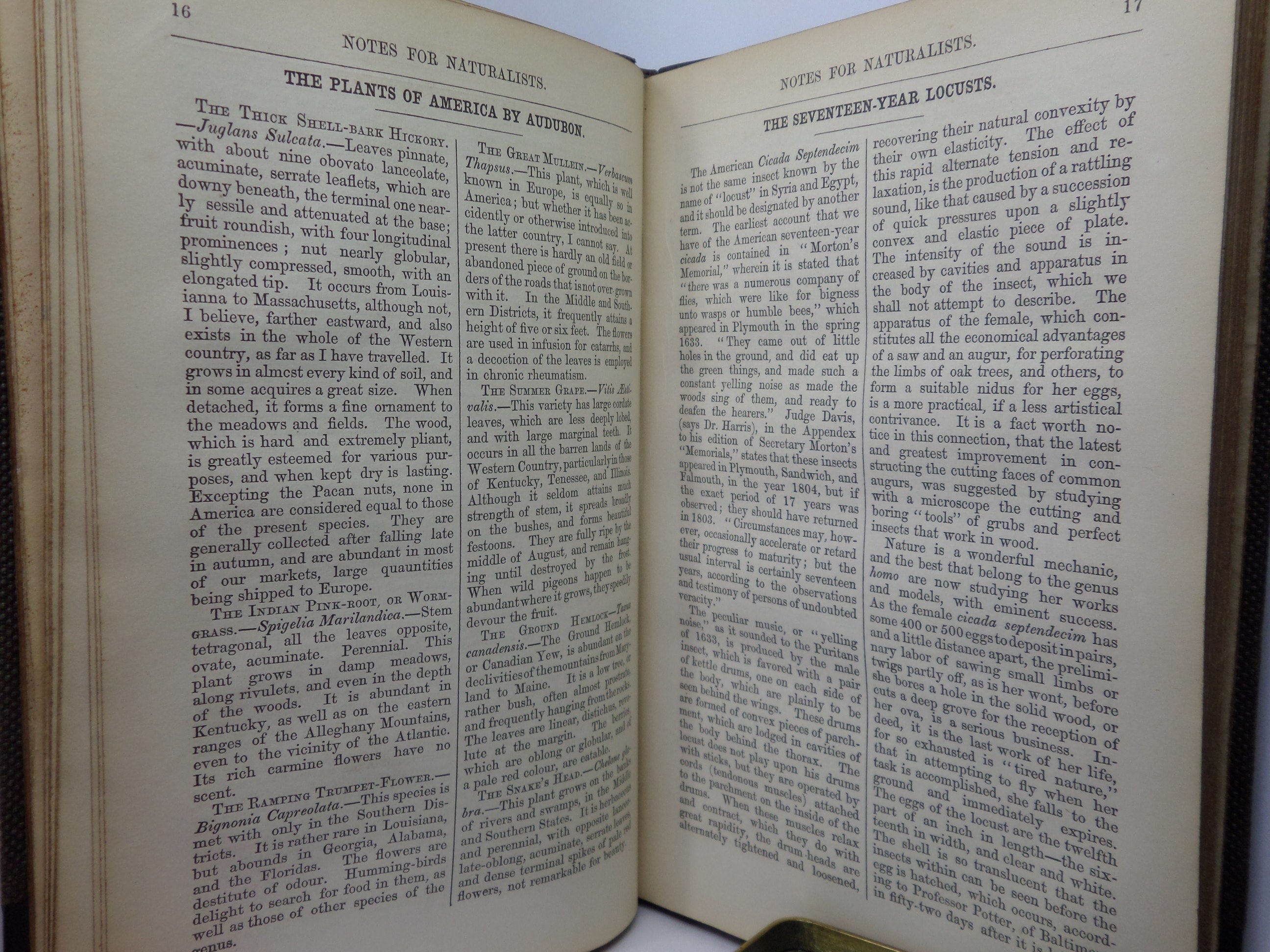 NOTES FOR NATURALISTS WITH QUESTIONS AND ANSWERS EDITED BY H.G. ADAMS 1857