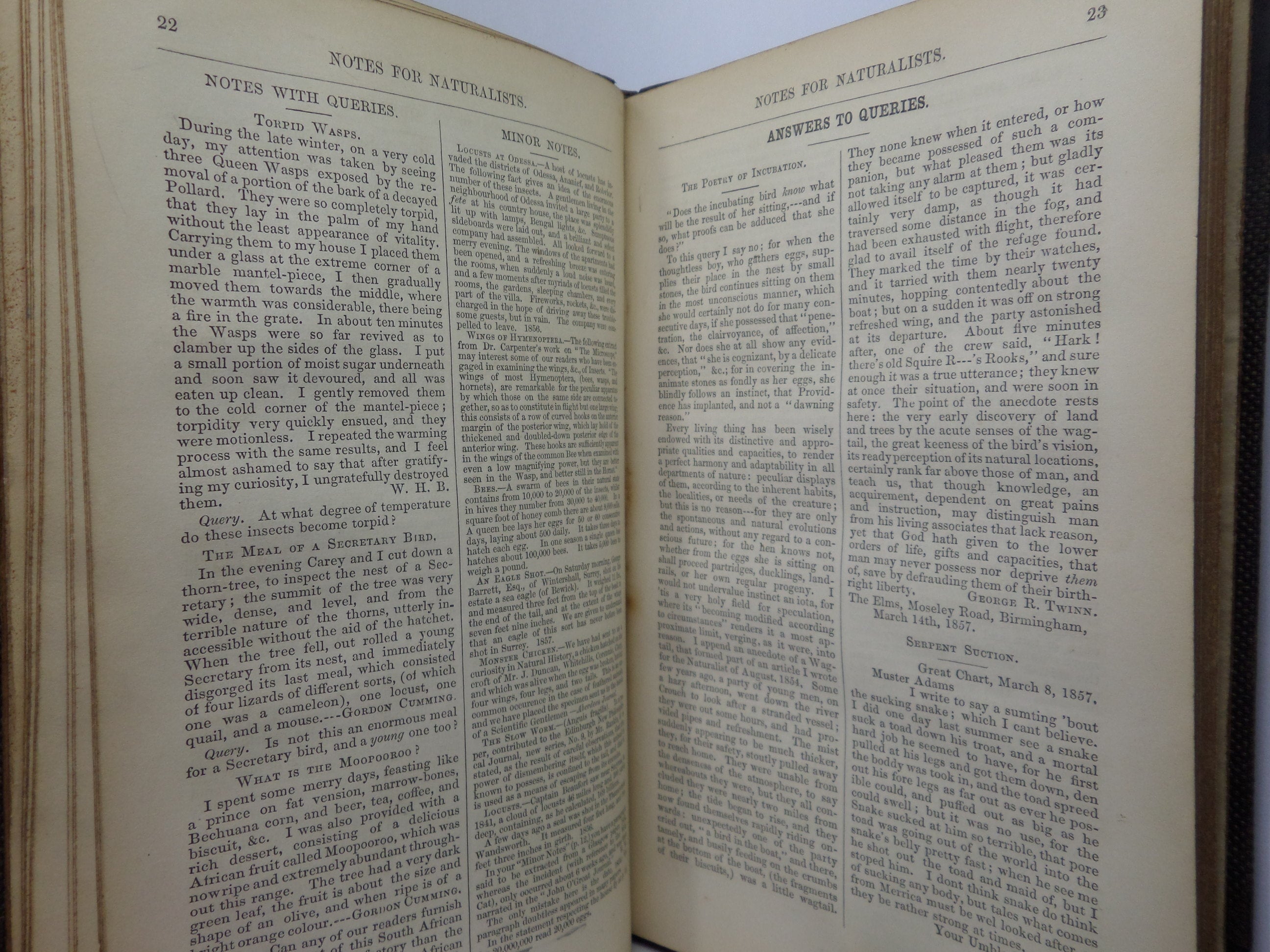 NOTES FOR NATURALISTS WITH QUESTIONS AND ANSWERS EDITED BY H.G. ADAMS 1857