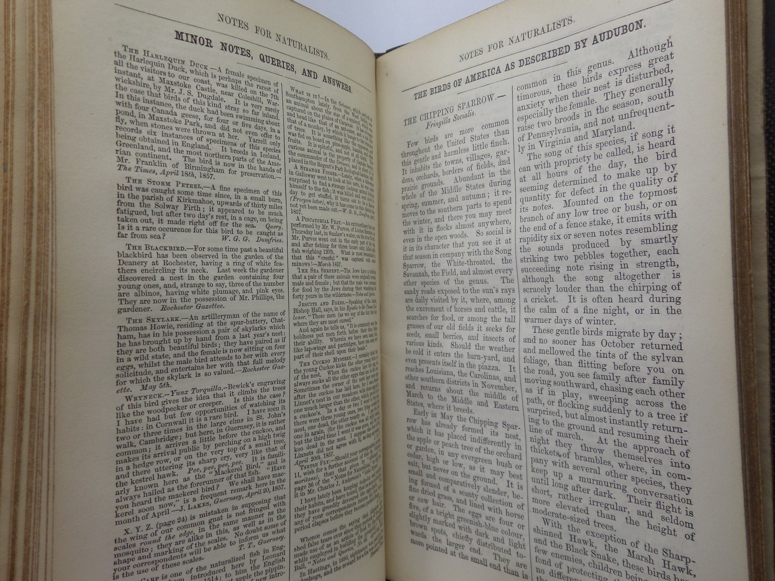 NOTES FOR NATURALISTS WITH QUESTIONS AND ANSWERS EDITED BY H.G. ADAMS 1857