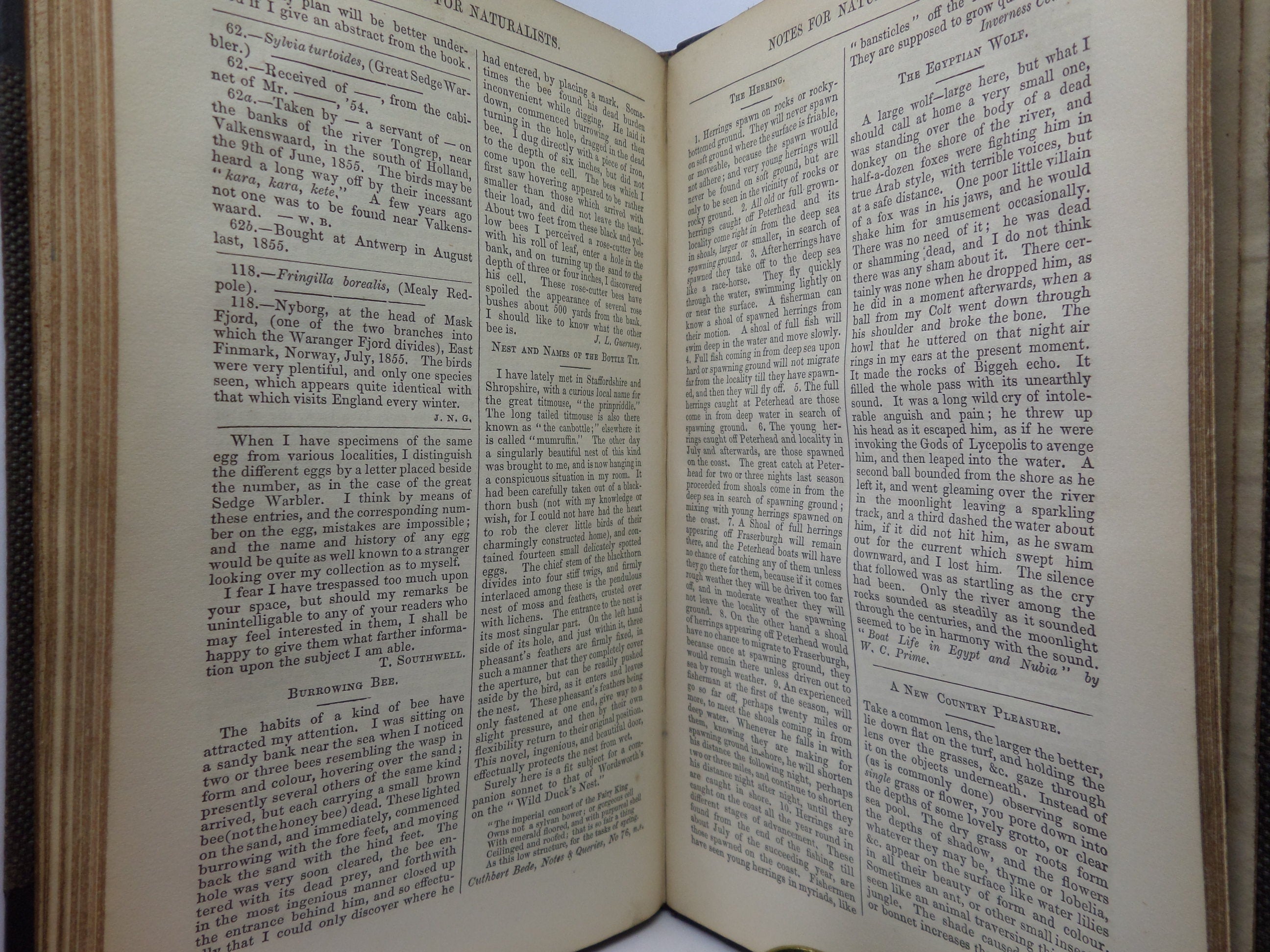 NOTES FOR NATURALISTS WITH QUESTIONS AND ANSWERS EDITED BY H.G. ADAMS 1857