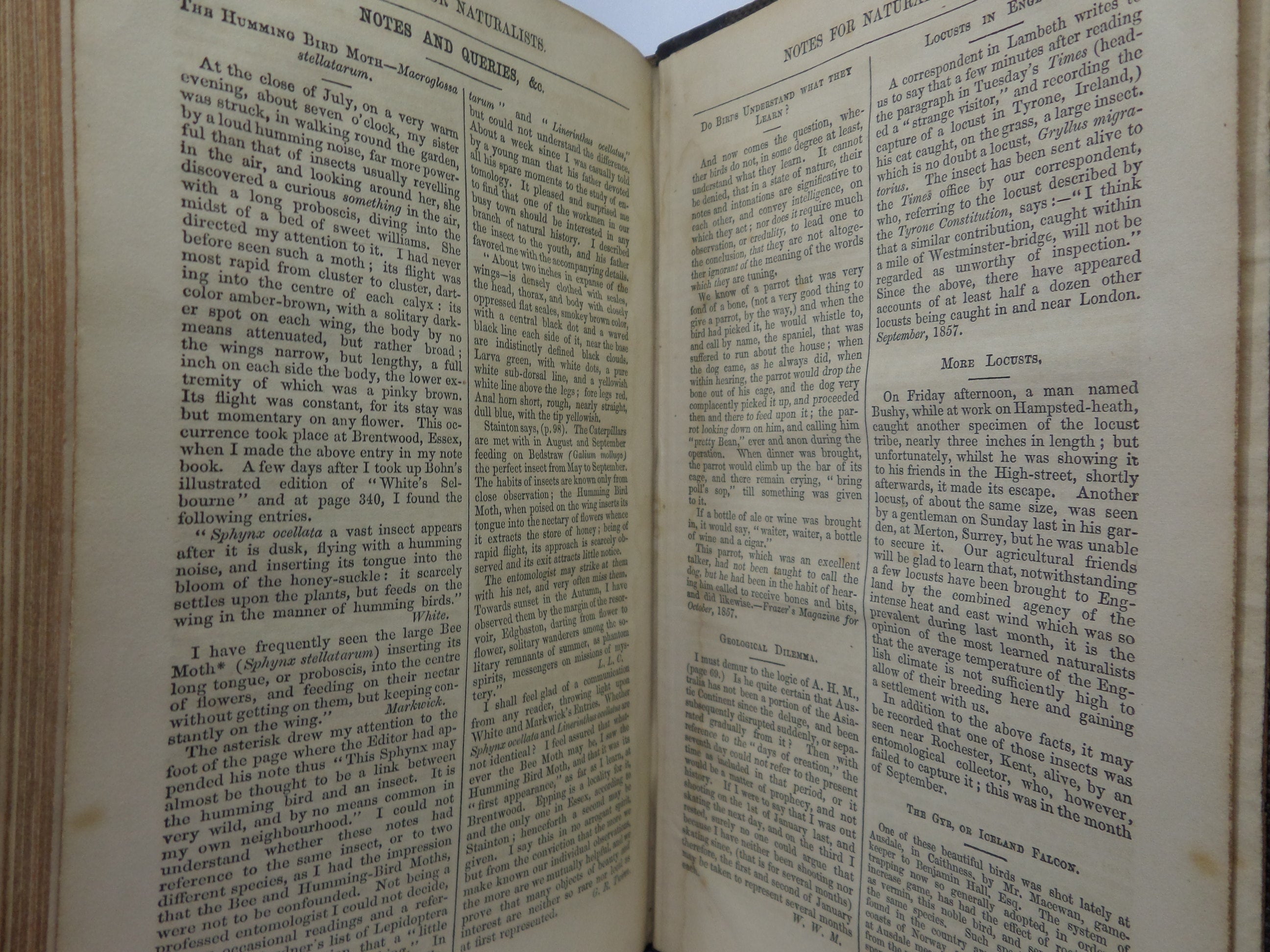 NOTES FOR NATURALISTS WITH QUESTIONS AND ANSWERS EDITED BY H.G. ADAMS 1857