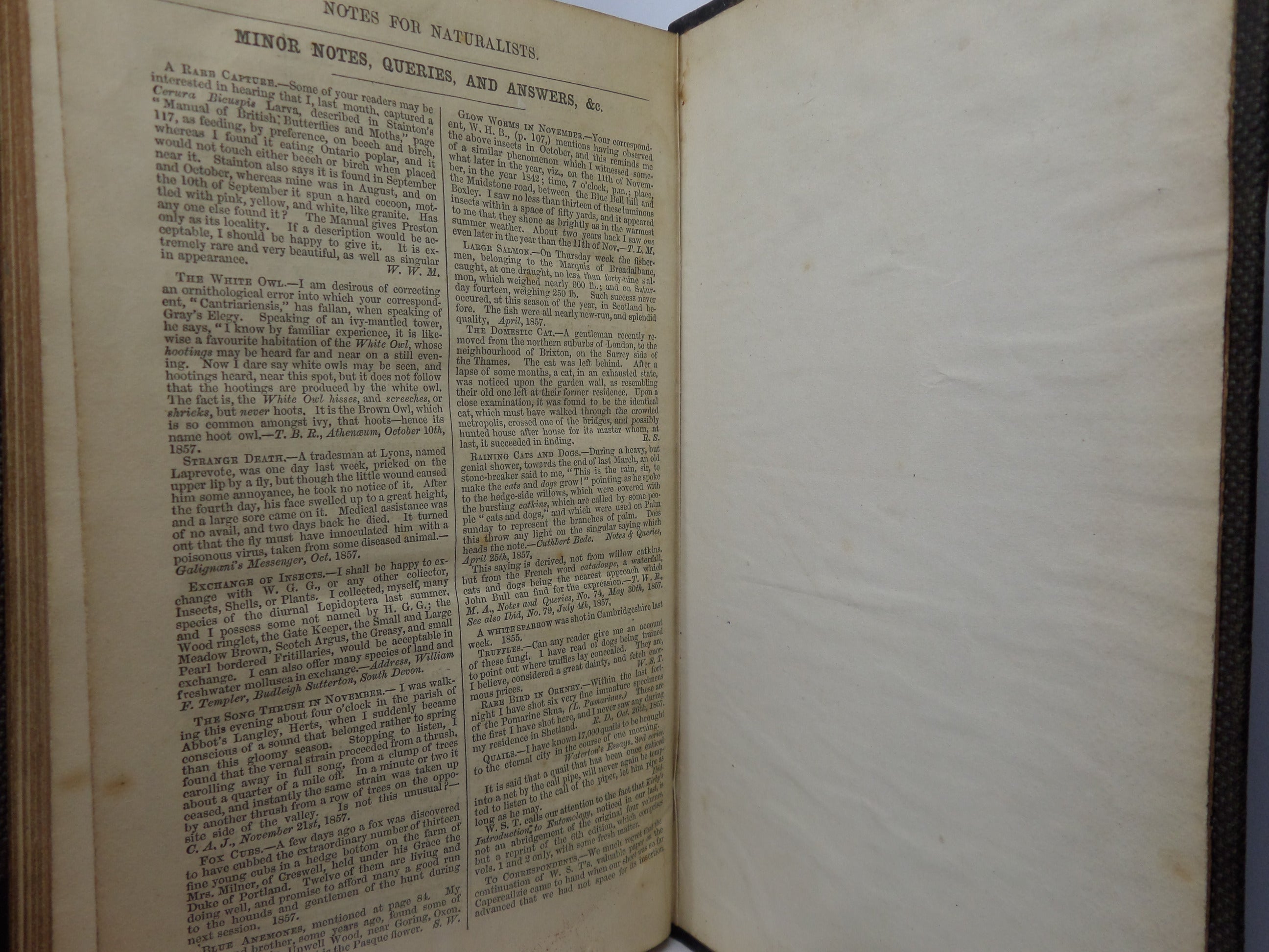 NOTES FOR NATURALISTS WITH QUESTIONS AND ANSWERS EDITED BY H.G. ADAMS 1857