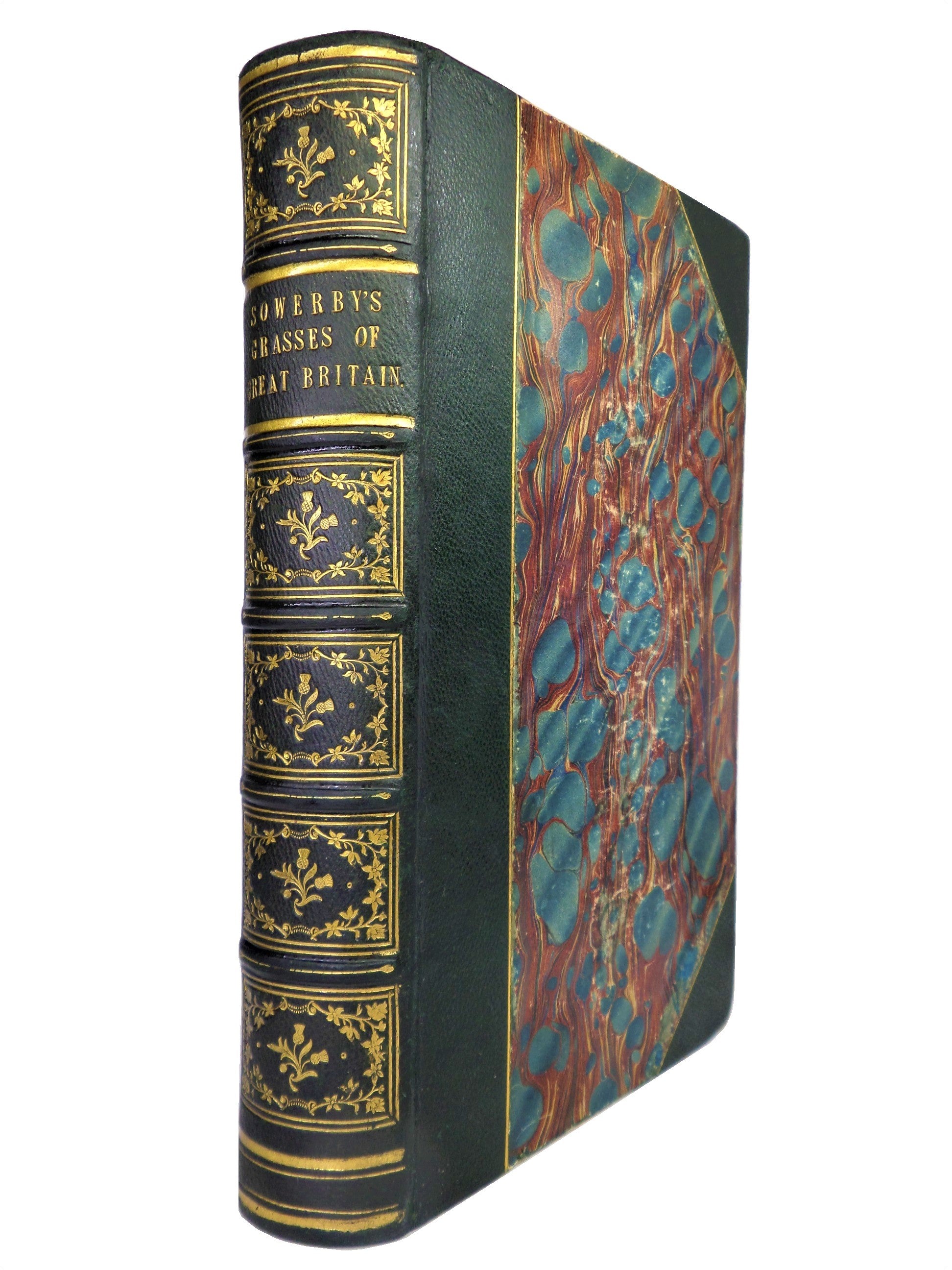 THE GRASSES OF GREAT BRITAIN BY CHARLES JOHNSON C1860 FINE BINDING, JOHN SOWERBY ILLUSTRATIONS