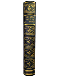 THE GRASSES OF GREAT BRITAIN BY CHARLES JOHNSON C1860 FINE BINDING, JOHN SOWERBY ILLUSTRATIONS