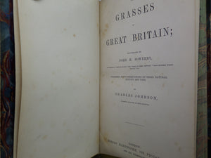 THE GRASSES OF GREAT BRITAIN BY CHARLES JOHNSON C1860 FINE BINDING, JOHN SOWERBY ILLUSTRATIONS