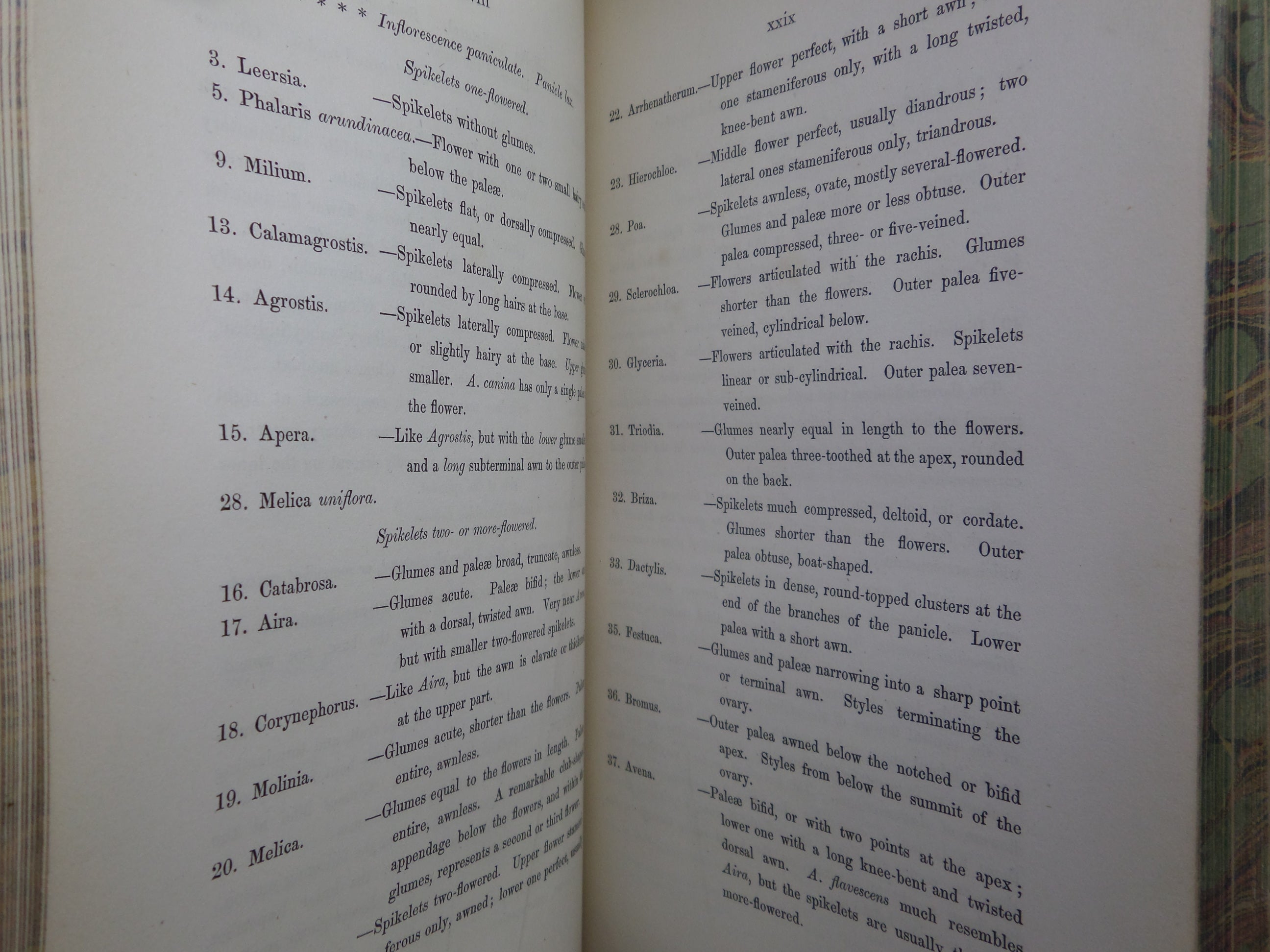 THE GRASSES OF GREAT BRITAIN BY CHARLES JOHNSON C1860 FINE BINDING, JOHN SOWERBY ILLUSTRATIONS