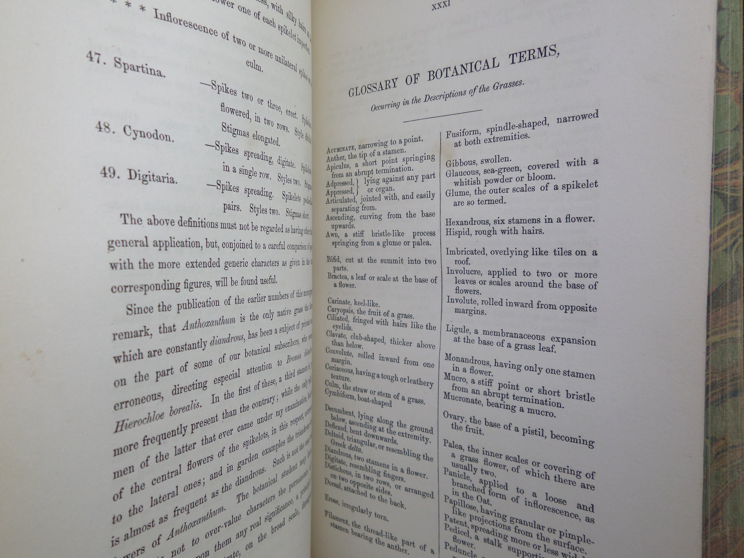 THE GRASSES OF GREAT BRITAIN BY CHARLES JOHNSON C1860 FINE BINDING, JOHN SOWERBY ILLUSTRATIONS