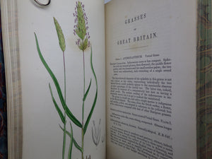 THE GRASSES OF GREAT BRITAIN BY CHARLES JOHNSON C1860 FINE BINDING, JOHN SOWERBY ILLUSTRATIONS