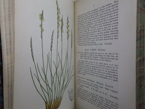 THE GRASSES OF GREAT BRITAIN BY CHARLES JOHNSON C1860 FINE BINDING, JOHN SOWERBY ILLUSTRATIONS