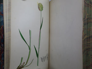 THE GRASSES OF GREAT BRITAIN BY CHARLES JOHNSON C1860 FINE BINDING, JOHN SOWERBY ILLUSTRATIONS