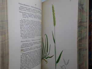 THE GRASSES OF GREAT BRITAIN BY CHARLES JOHNSON C1860 FINE BINDING, JOHN SOWERBY ILLUSTRATIONS