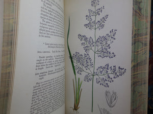 THE GRASSES OF GREAT BRITAIN BY CHARLES JOHNSON C1860 FINE BINDING, JOHN SOWERBY ILLUSTRATIONS