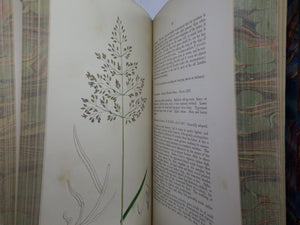 THE GRASSES OF GREAT BRITAIN BY CHARLES JOHNSON C1860 FINE BINDING, JOHN SOWERBY ILLUSTRATIONS