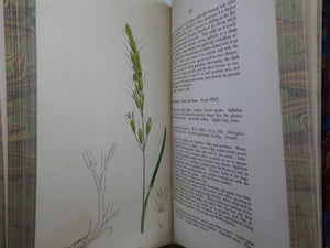 THE GRASSES OF GREAT BRITAIN BY CHARLES JOHNSON C1860 FINE BINDING, JOHN SOWERBY ILLUSTRATIONS