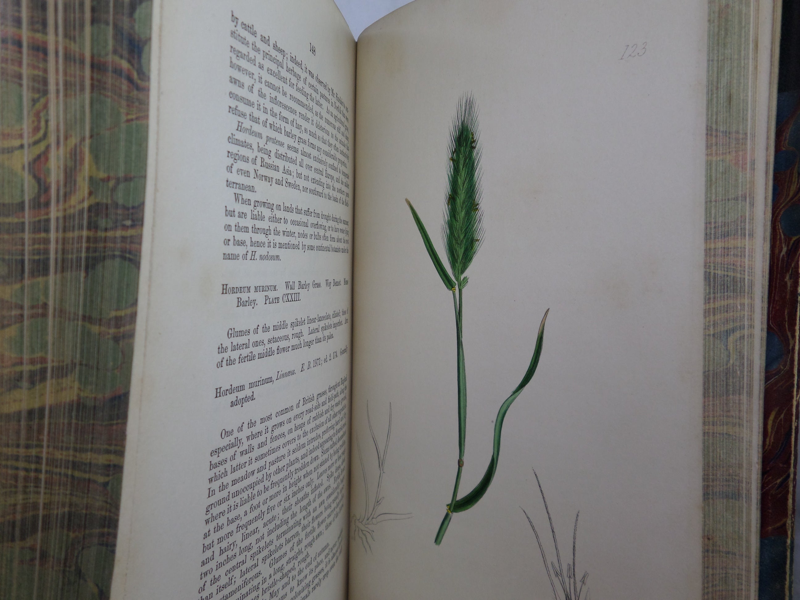 THE GRASSES OF GREAT BRITAIN BY CHARLES JOHNSON C1860 FINE BINDING, JOHN SOWERBY ILLUSTRATIONS