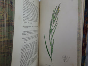 THE GRASSES OF GREAT BRITAIN BY CHARLES JOHNSON C1860 FINE BINDING, JOHN SOWERBY ILLUSTRATIONS