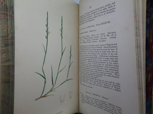 THE GRASSES OF GREAT BRITAIN BY CHARLES JOHNSON C1860 FINE BINDING, JOHN SOWERBY ILLUSTRATIONS