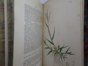 THE GRASSES OF GREAT BRITAIN BY CHARLES JOHNSON C1860 FINE BINDING, JOHN SOWERBY ILLUSTRATIONS