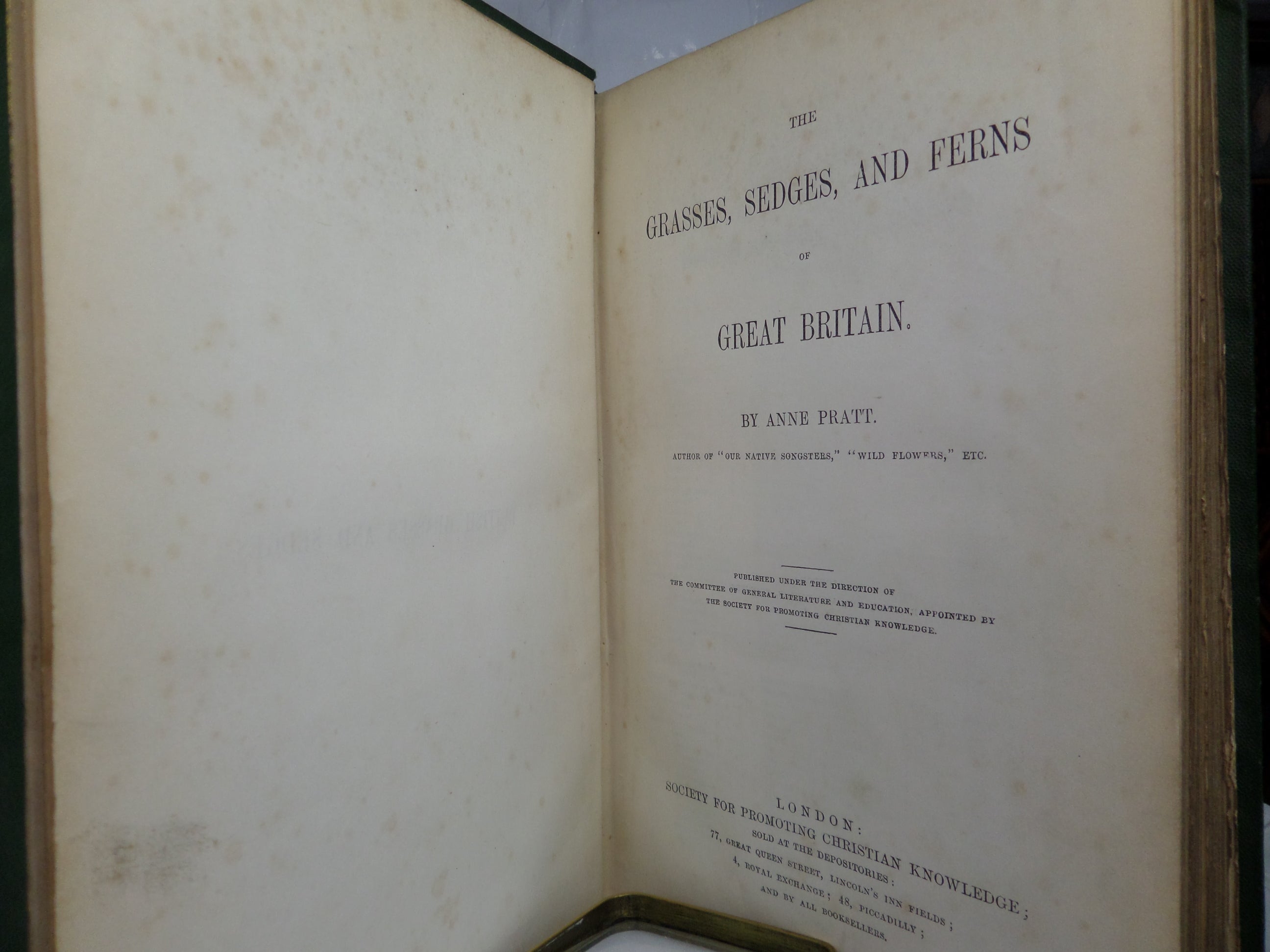 THE GRASSES, SEDGES & FERNS OF GREAT BRITAIN BY ANNE PRATT CIRCA 1860