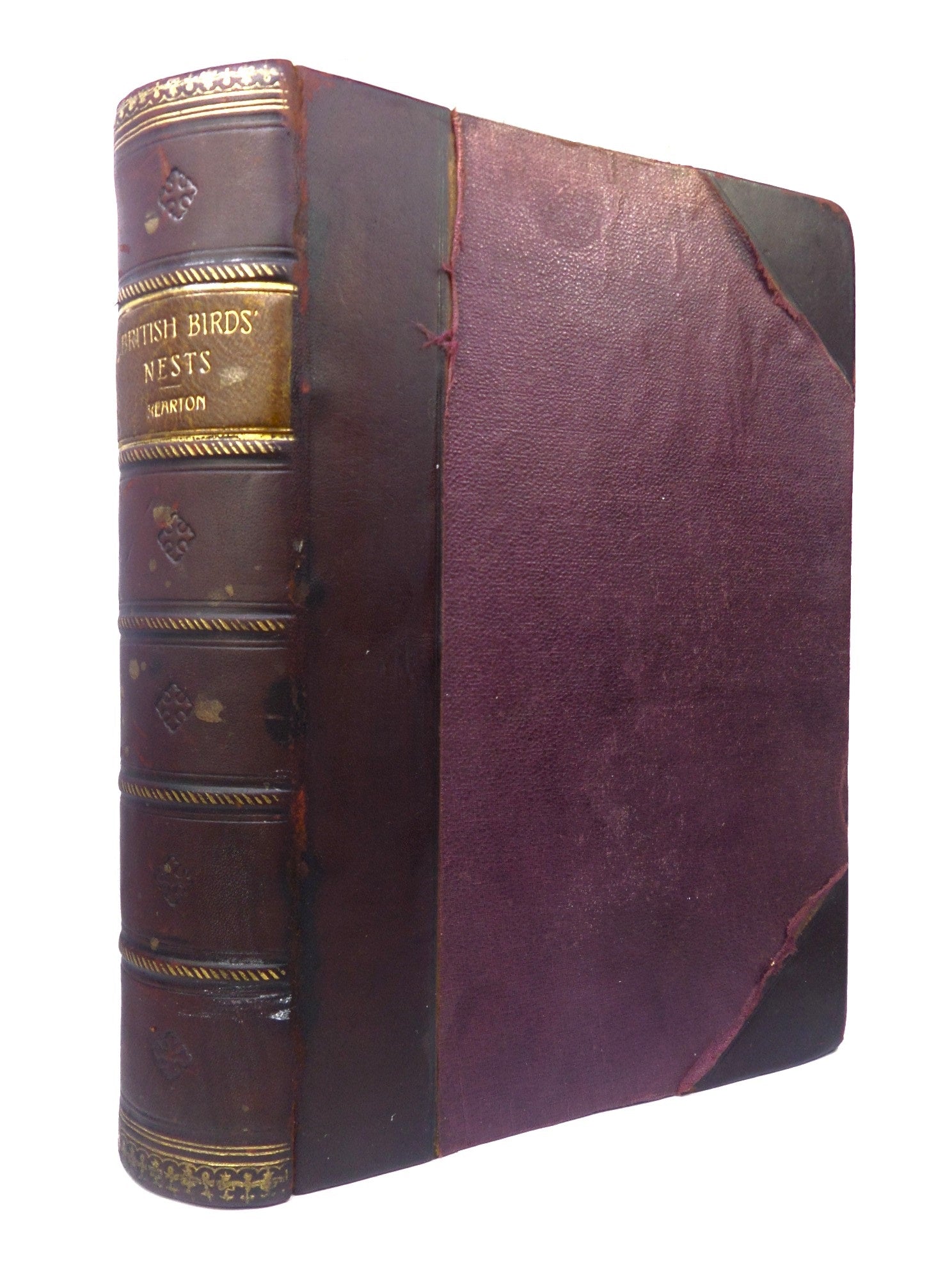 BRITISH BIRDS NESTS BY RICHARD KEARTON 1908 LEATHER BINDING