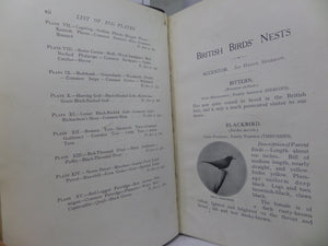 BRITISH BIRDS NESTS BY RICHARD KEARTON 1908 LEATHER BINDING