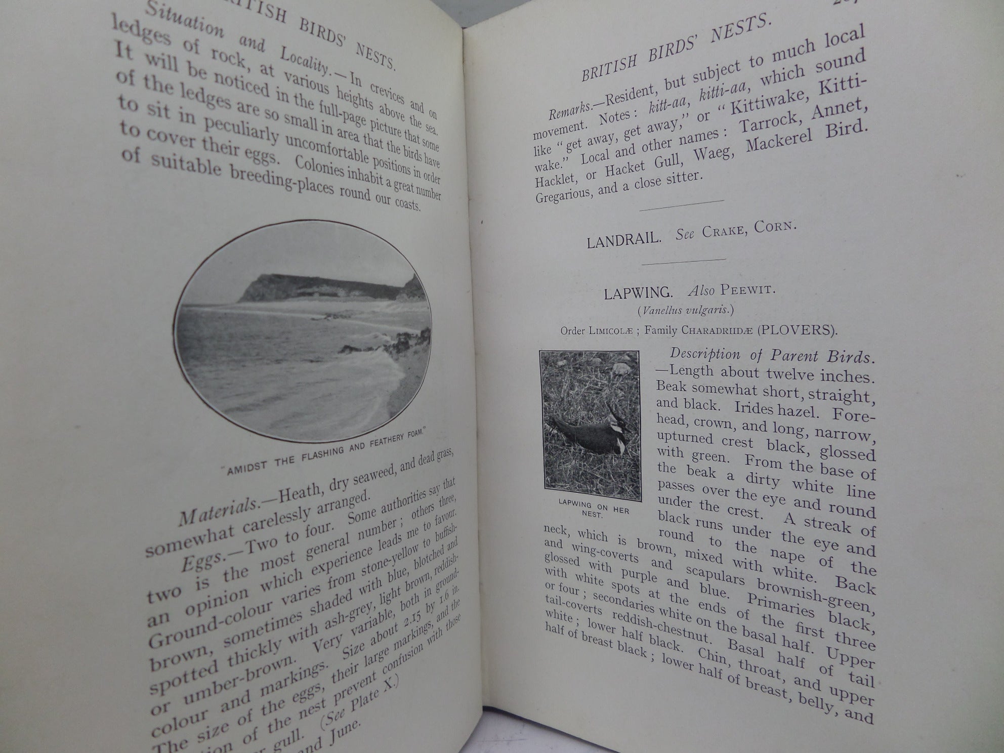 BRITISH BIRDS NESTS BY RICHARD KEARTON 1908 LEATHER BINDING