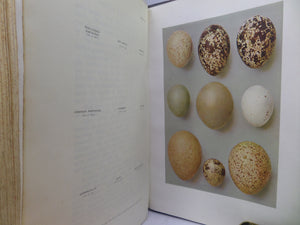 BRITISH BIRDS NESTS BY RICHARD KEARTON 1908 LEATHER BINDING