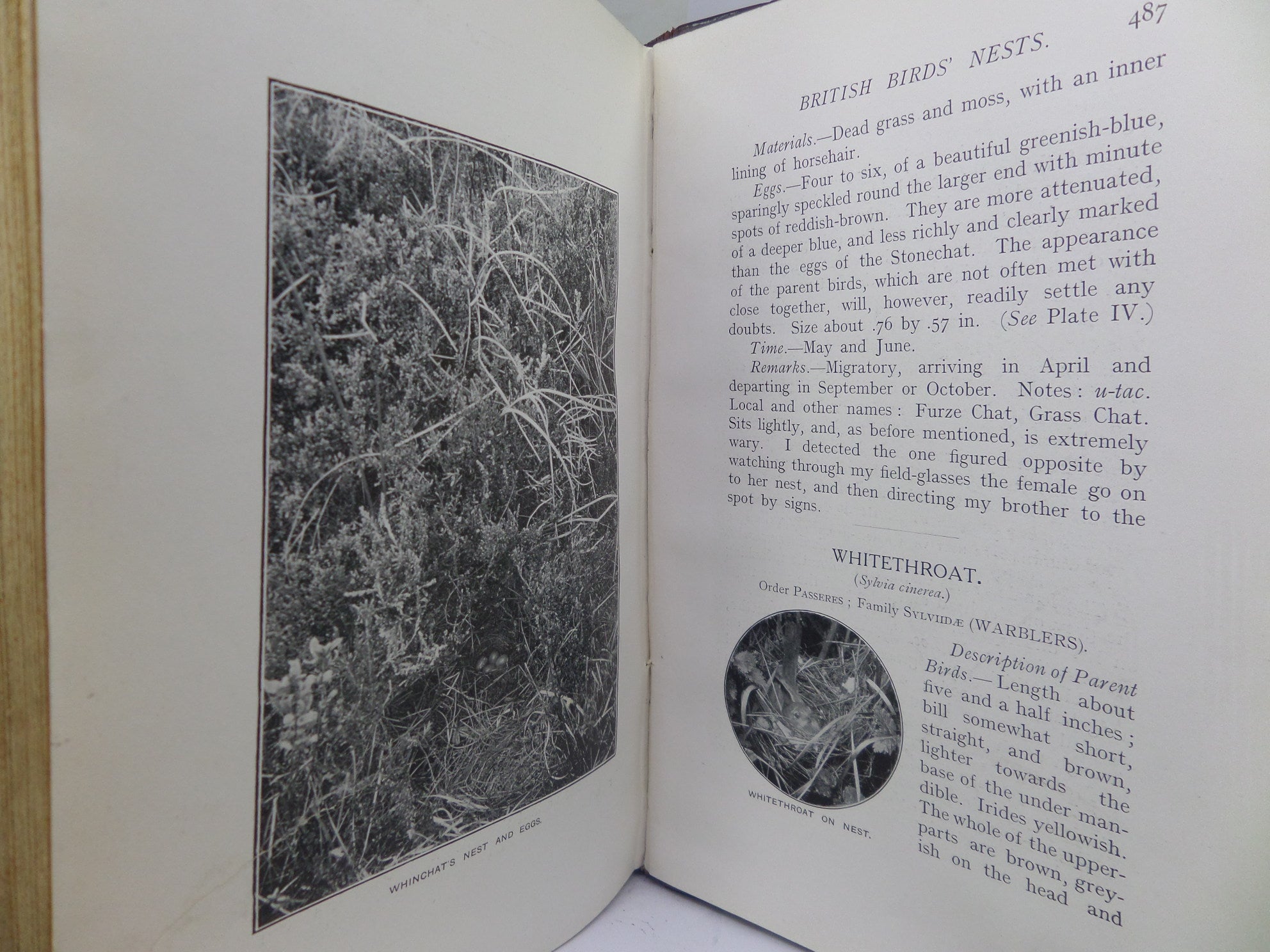 BRITISH BIRDS NESTS BY RICHARD KEARTON 1908 LEATHER BINDING