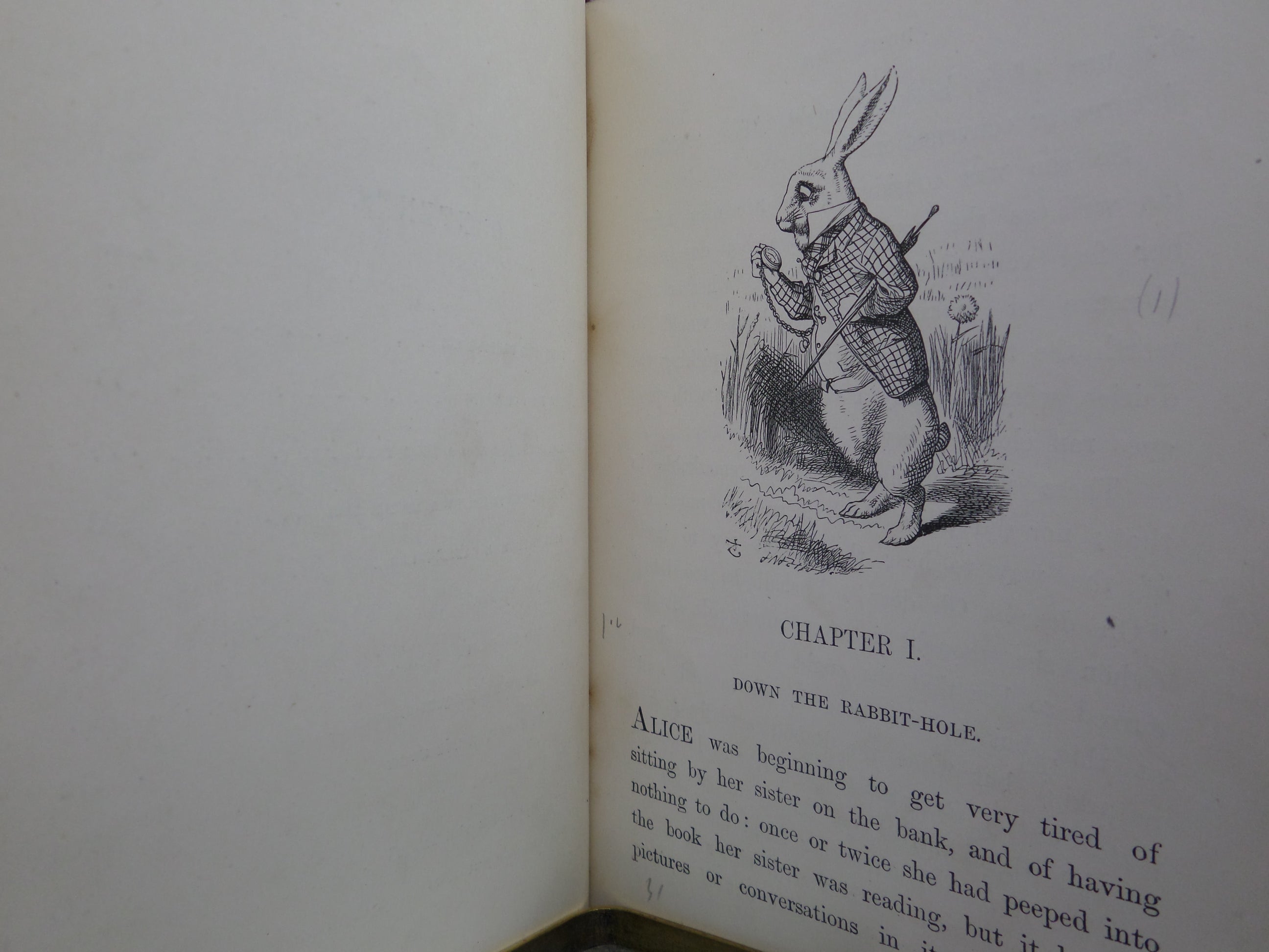 ALICE'S ADVENTURES IN WONDERLAND BY LEWIS CARROLL 1878 EARLY EDITION