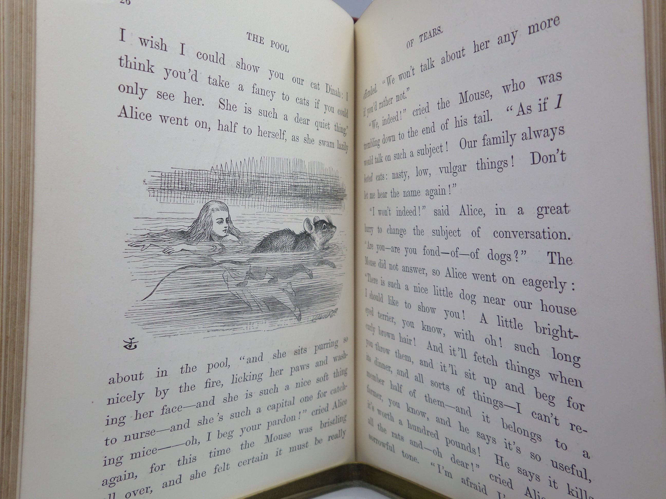 ALICE'S ADVENTURES IN WONDERLAND BY LEWIS CARROLL 1878 EARLY EDITION