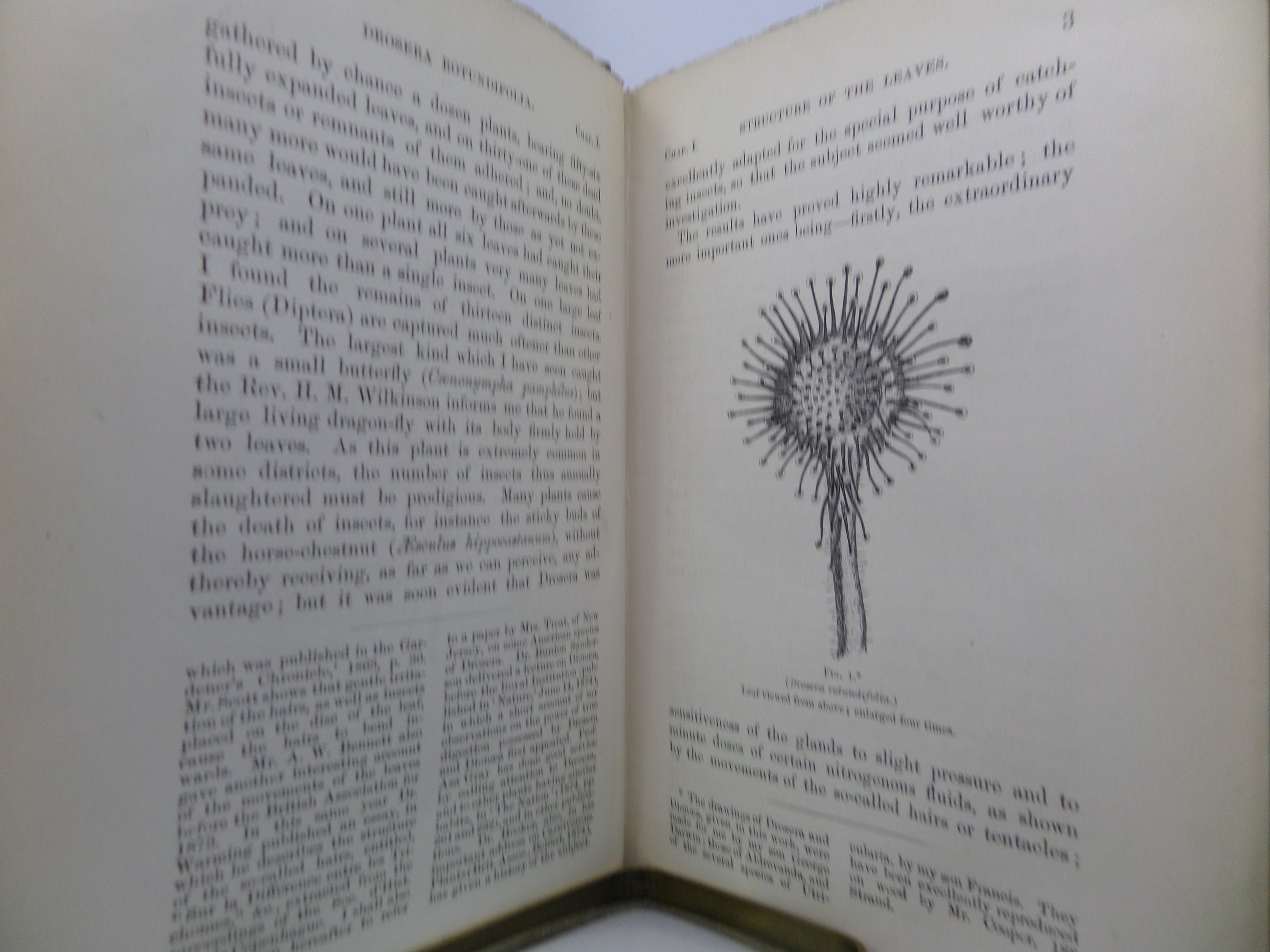 INSECTIVOROUS PLANTS BY CHARLES DARWIN 1875 SECOND THOUSAND