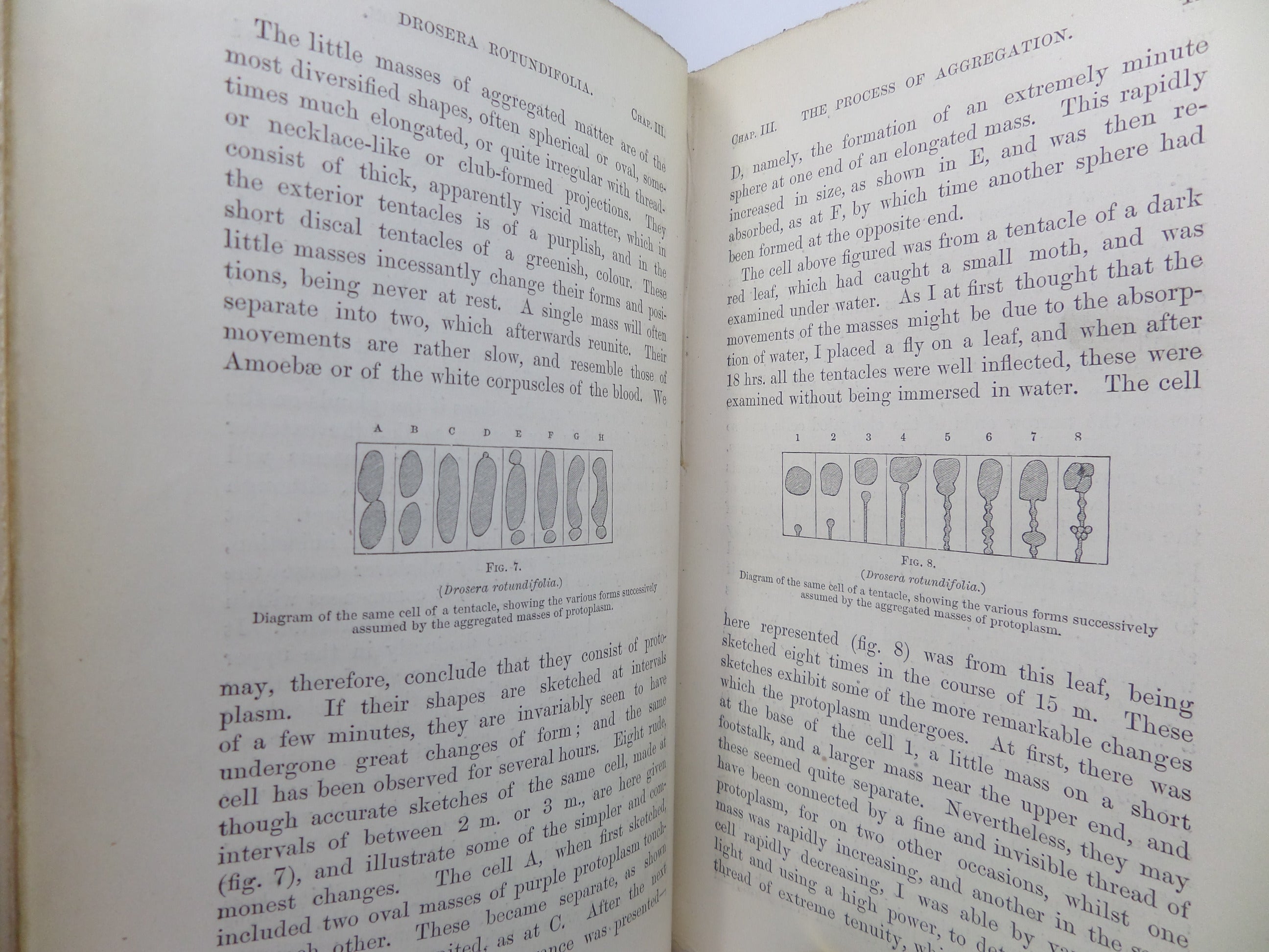 INSECTIVOROUS PLANTS BY CHARLES DARWIN 1875 SECOND THOUSAND