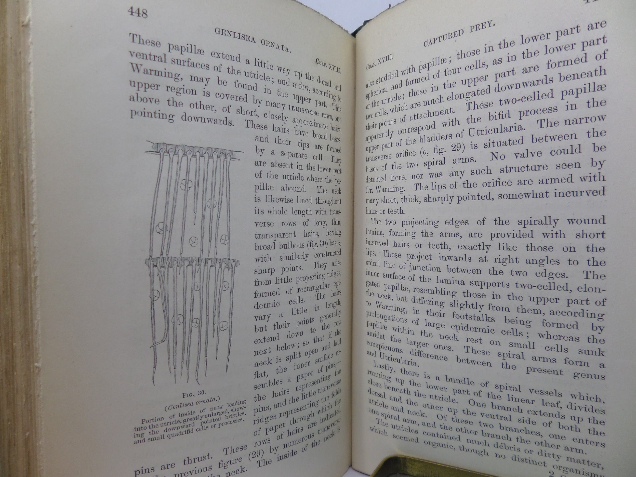 INSECTIVOROUS PLANTS BY CHARLES DARWIN 1875 SECOND THOUSAND