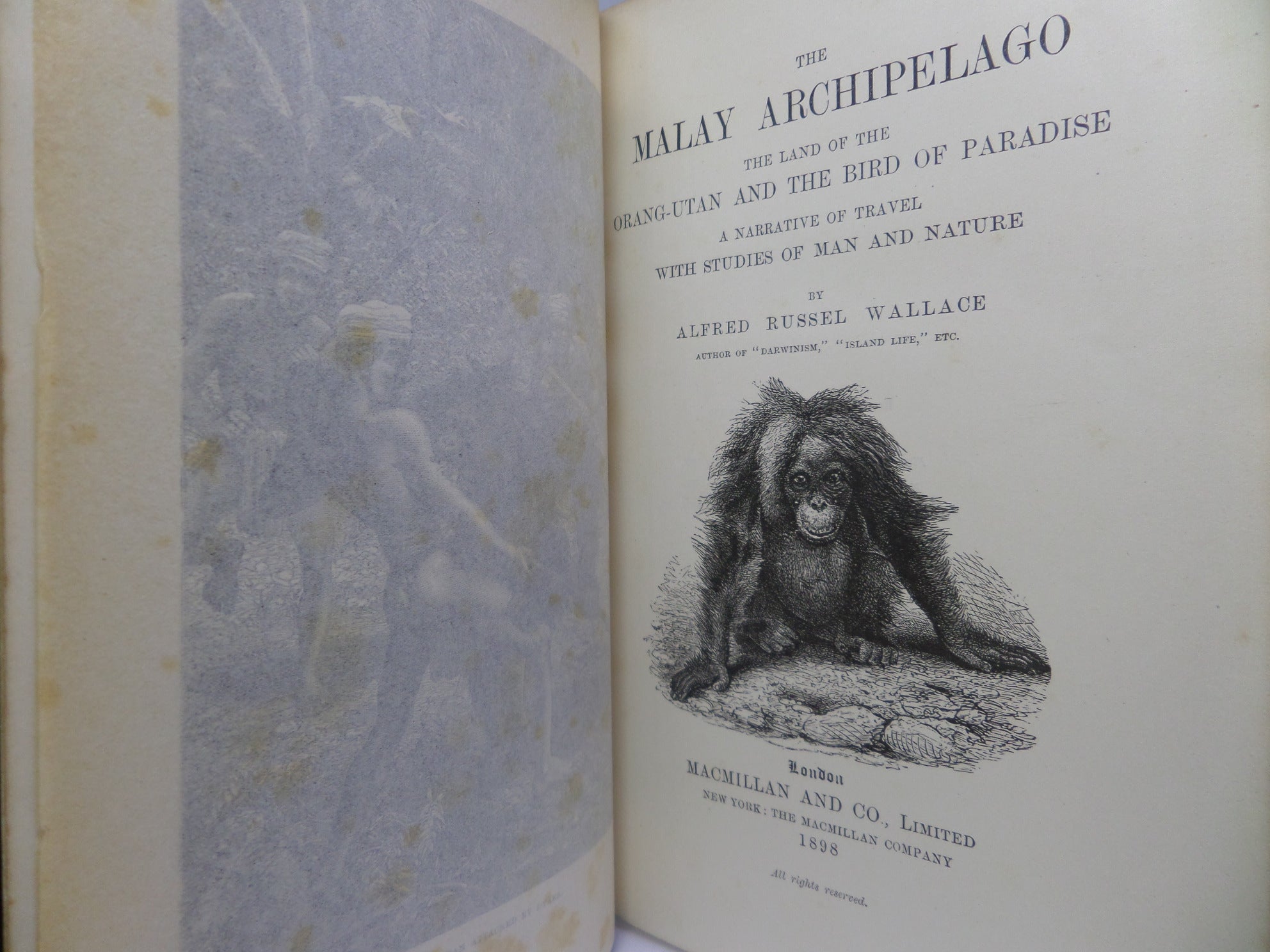 THE MALAY ARCHIPELAGO BY ALFRED RUSSEL WALLACE 1898 NEW EDITION