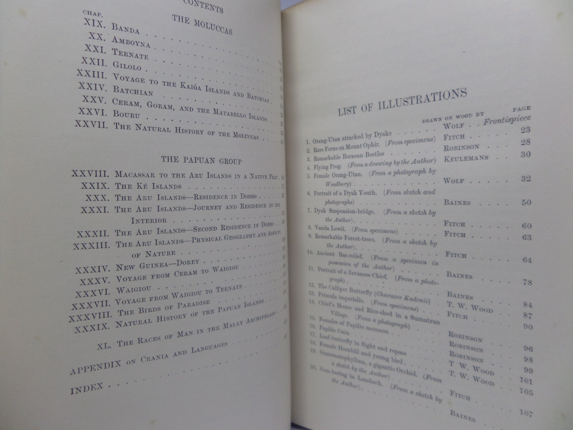 THE MALAY ARCHIPELAGO BY ALFRED RUSSEL WALLACE 1898 NEW EDITION