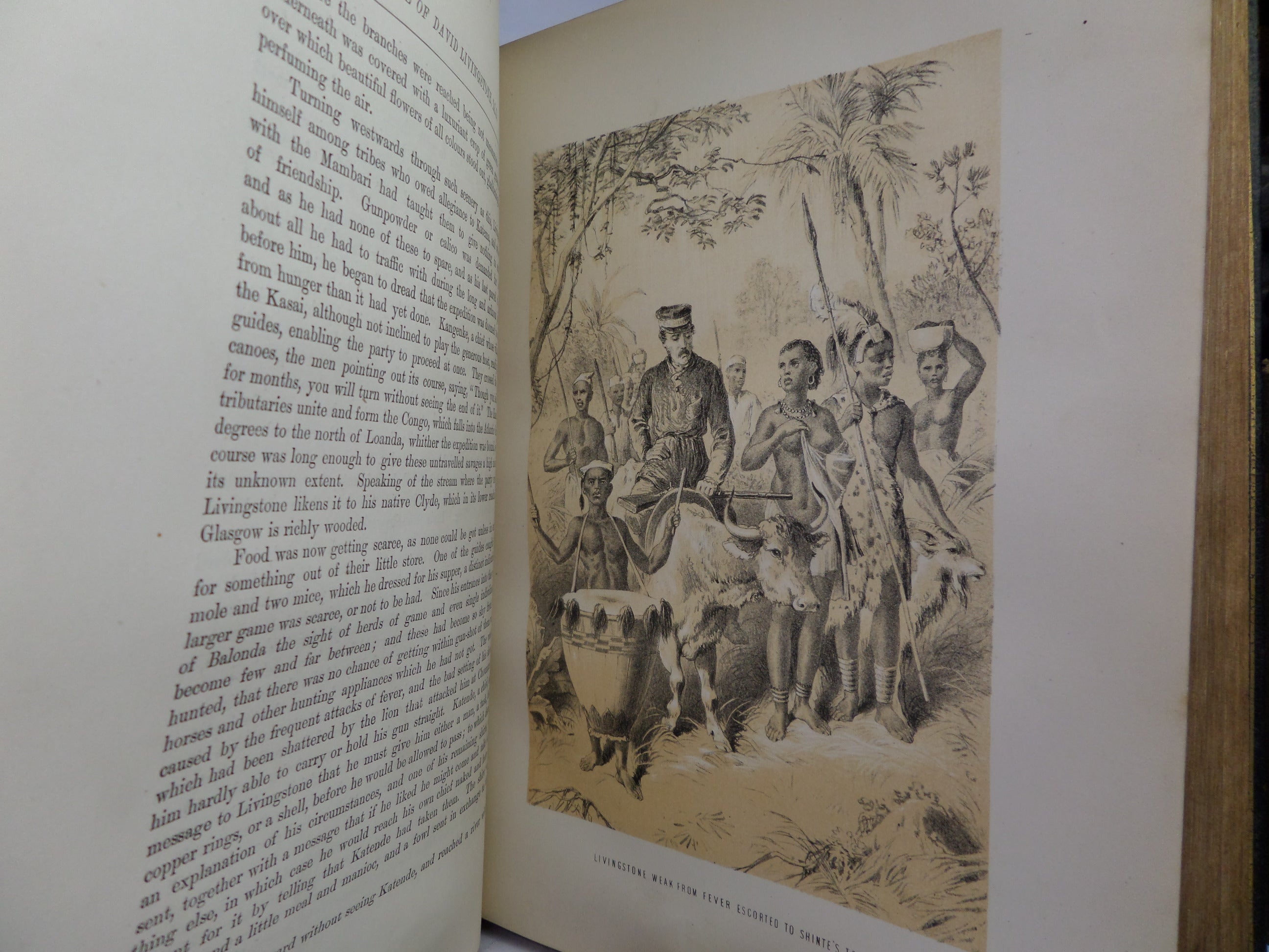 THE LIFE & EXPLORATIONS OF DR. LIVINGSTONE CA.1875 FINE LEATHER BINDING