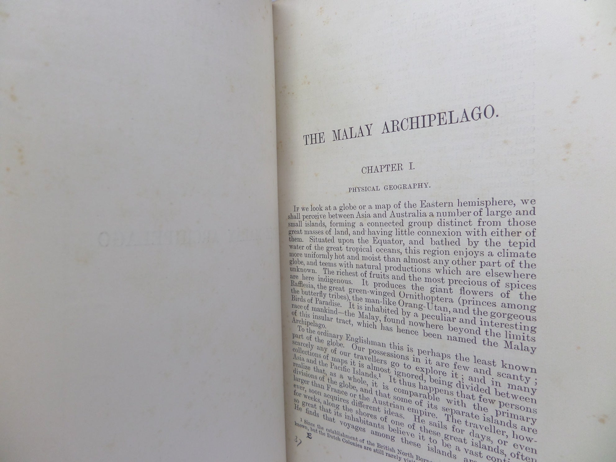 THE MALAY ARCHIPELAGO BY ALFRED RUSSEL WALLACE 1898 NEW EDITION