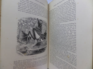 THE MALAY ARCHIPELAGO BY ALFRED RUSSEL WALLACE 1898 NEW EDITION