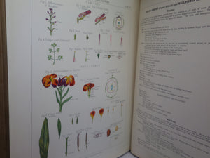 THE BOTANICAL ATLAS; A GUIDE TO THE PRACTICAL STUDY OF PLANTS BY DANIEL MCALPINE 1883