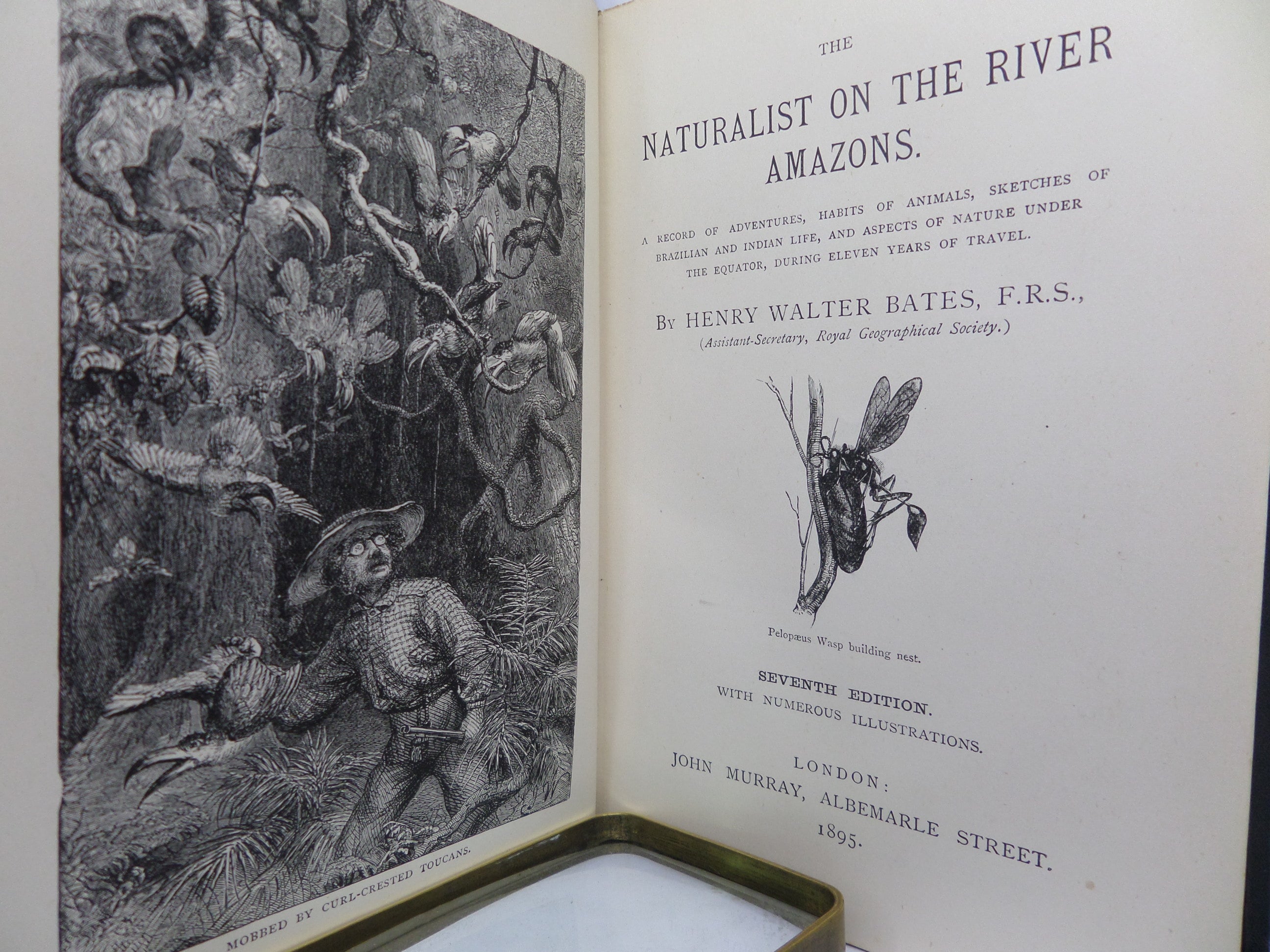 THE NATURALIST ON THE RIVER AMAZONS BY HENRY WALTER BATES 1895 SEVENTH EDITION