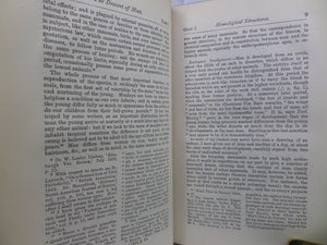 THE DESCENT OF MAN BY CHARLES DARWIN 1883