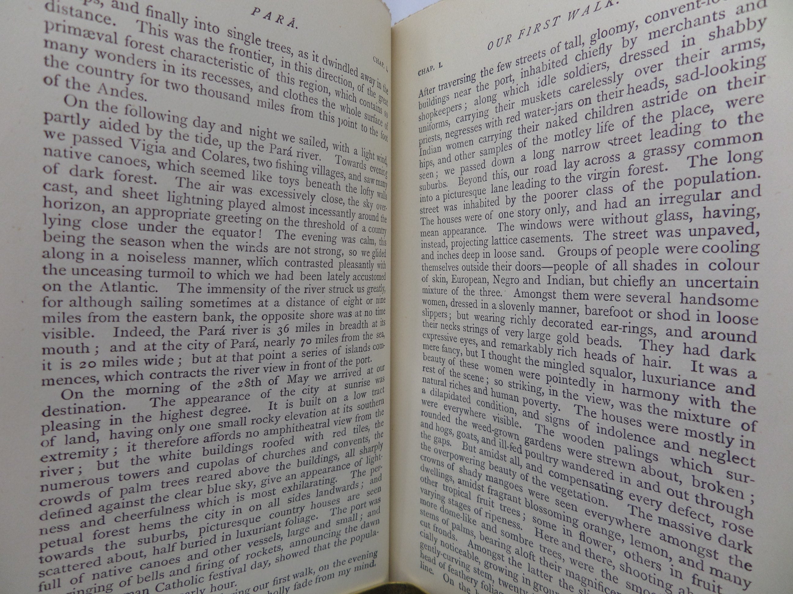 THE NATURALIST ON THE RIVER AMAZONS BY HENRY WALTER BATES 1895 SEVENTH EDITION