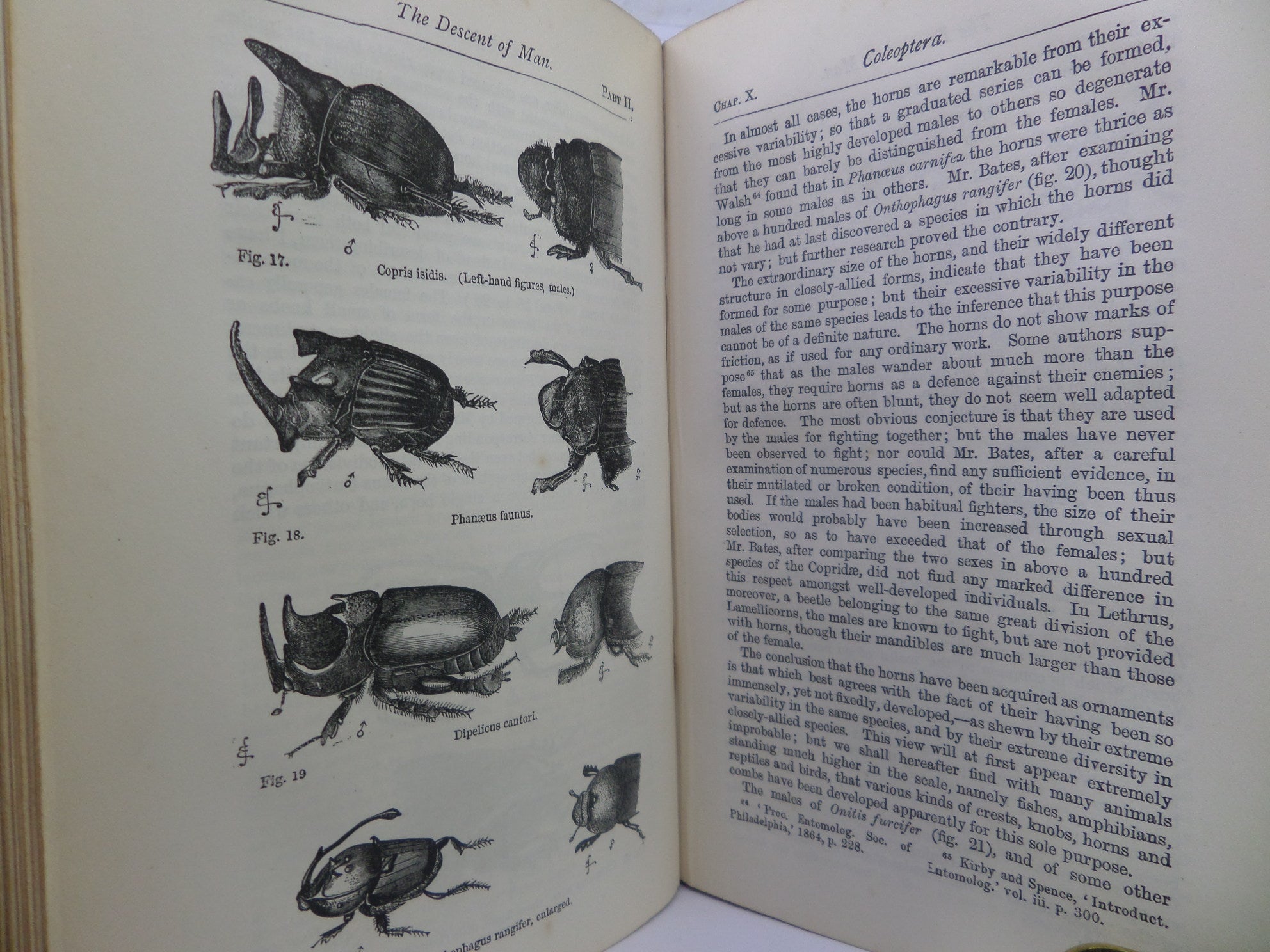 THE DESCENT OF MAN BY CHARLES DARWIN 1883