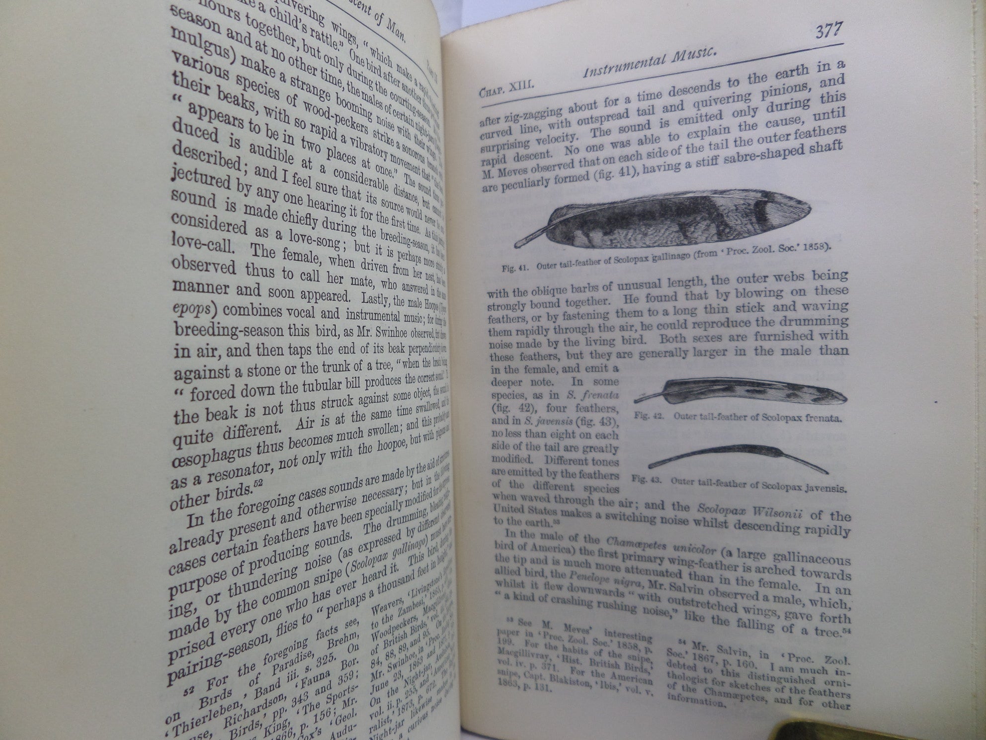 THE DESCENT OF MAN BY CHARLES DARWIN 1883