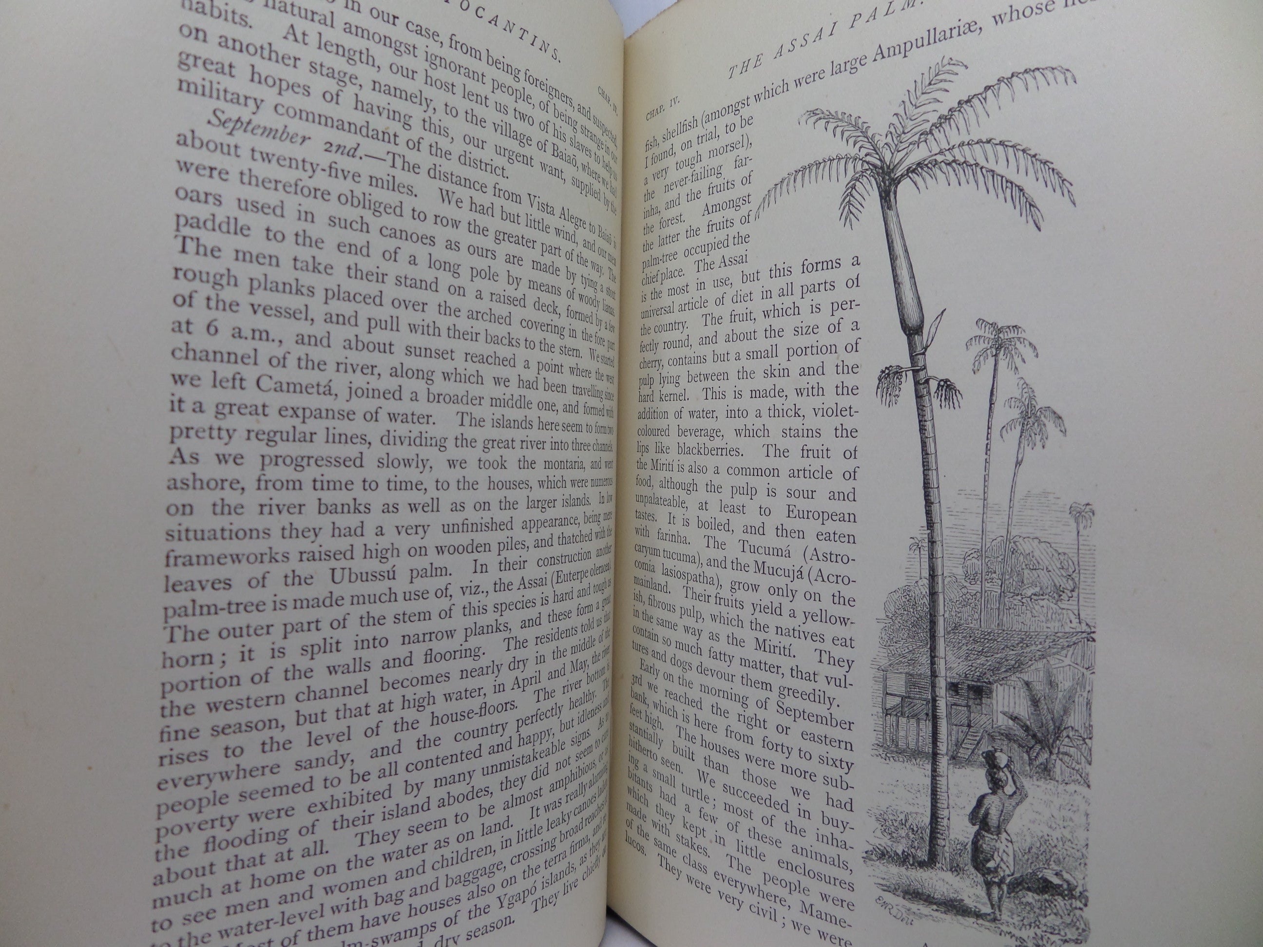 THE NATURALIST ON THE RIVER AMAZONS BY HENRY WALTER BATES 1895 SEVENTH EDITION