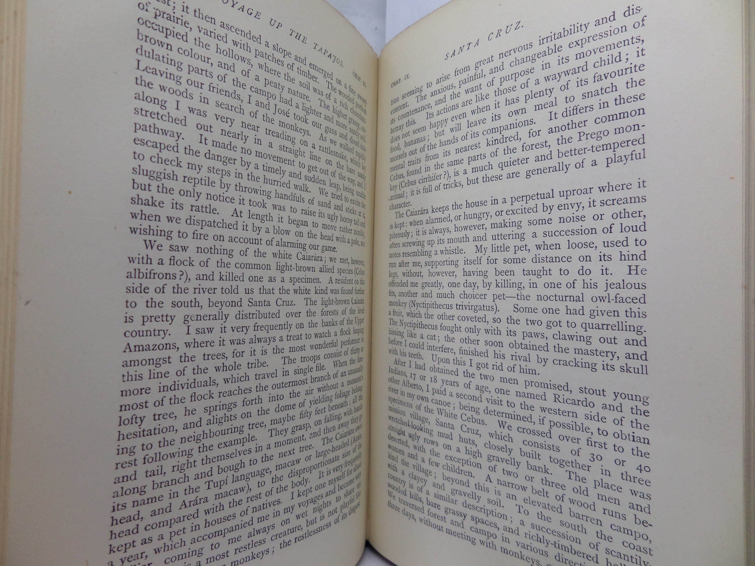 THE NATURALIST ON THE RIVER AMAZONS BY HENRY WALTER BATES 1895 SEVENTH EDITION